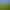 Fussballgolf
